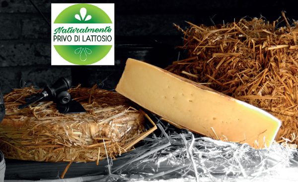 Formaggio Il Modesto-03 Formaggio Il Modesto